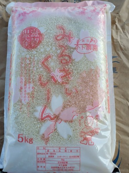 画像1: 新米！！　令和5年産　滋賀県産　ミルキークィーン　玄米　5kg×４袋　２０ｋｇ　 (1)