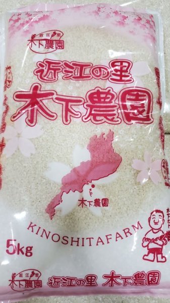 画像1: 新米！　令和6年産　滋賀県産　コシヒカリ　玄米　５kg×2袋　10ｋｇ　 (1)